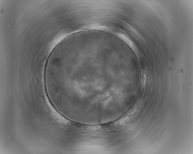 X0000089881055200706281345