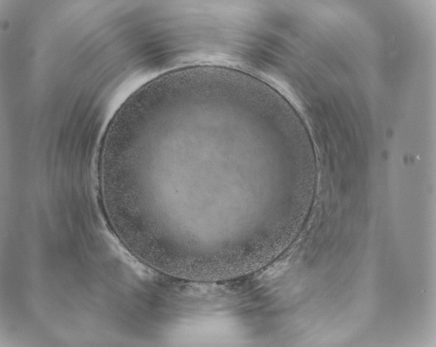 X0000089881056200706281345