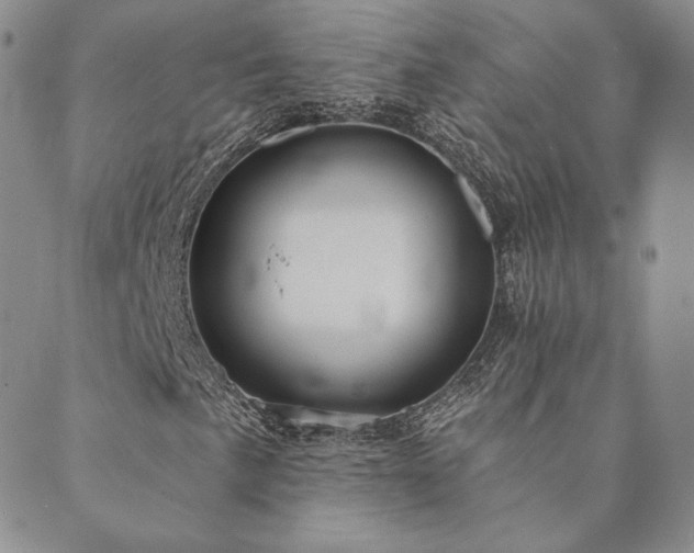 X0000089881057200706281344