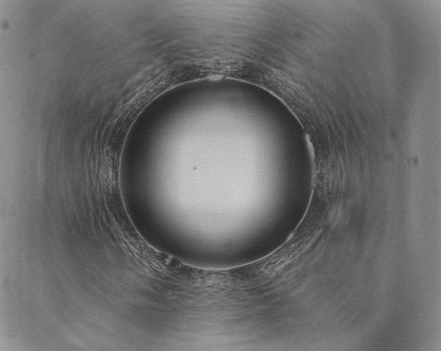 X0000089881058200706281344