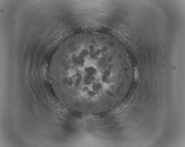 X0000089881059200706281344