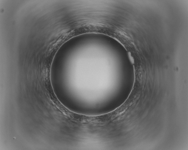 X0000089881061200706281344