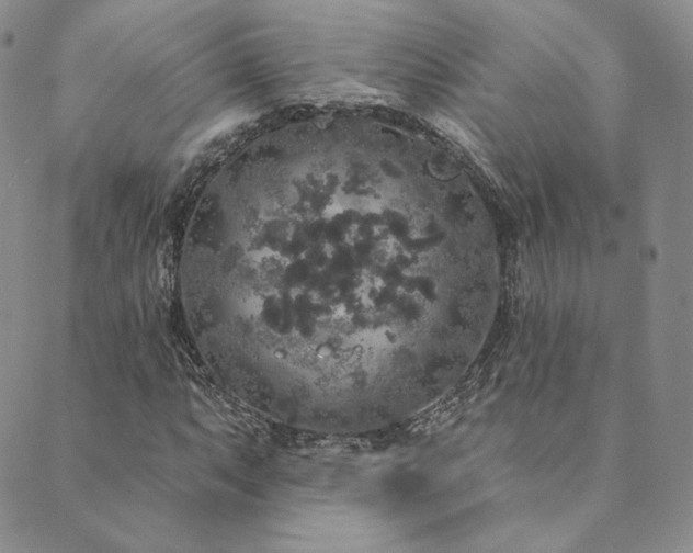 X0000089881063200706281344