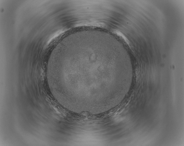 X0000089881064200706281344