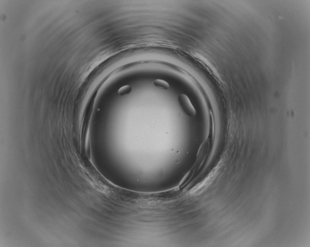 X0000089881065200706281344