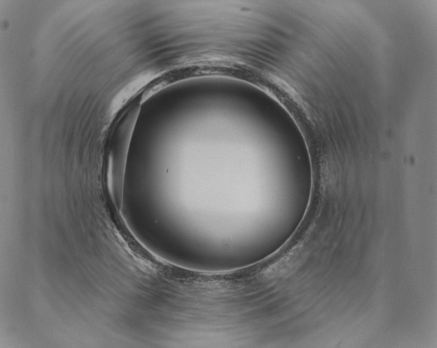 X0000089881066200706281344