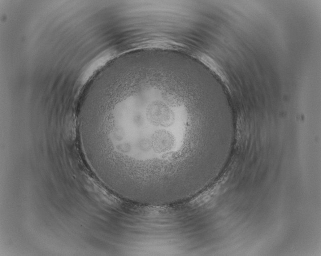 X0000089881067200706281344