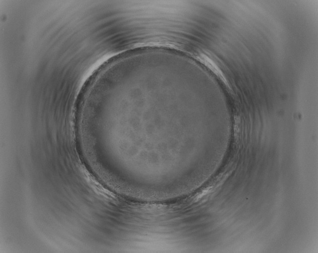 X0000089881068200706281344