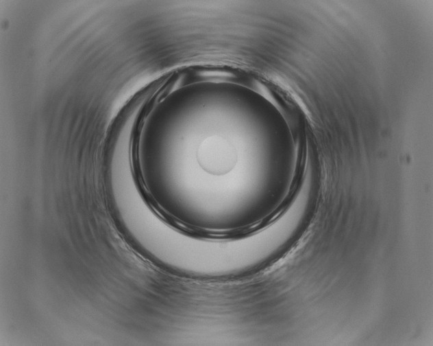 X0000089881069200706281344