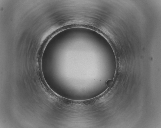 X0000089881070200706281344