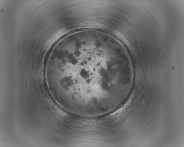 X0000089881071200706281344