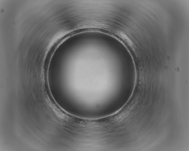 X0000089881072200706281344