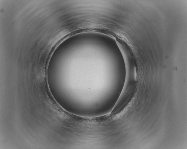 X0000089881073200706281344