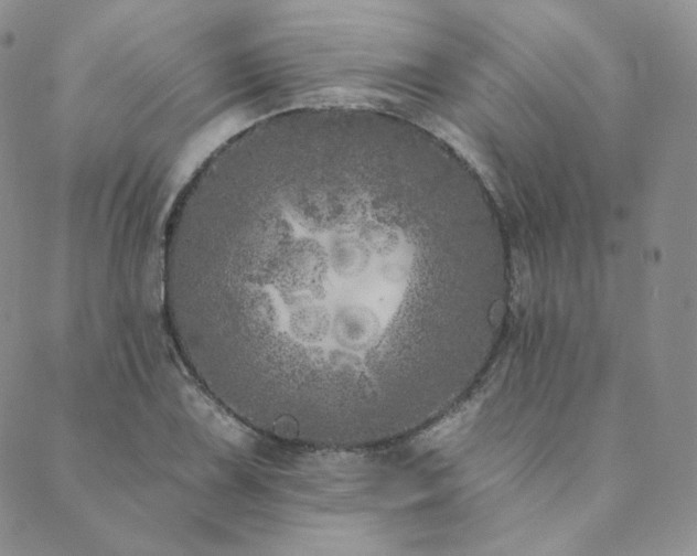 X0000089881075200706281344