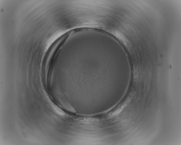 X0000089881077200706281344