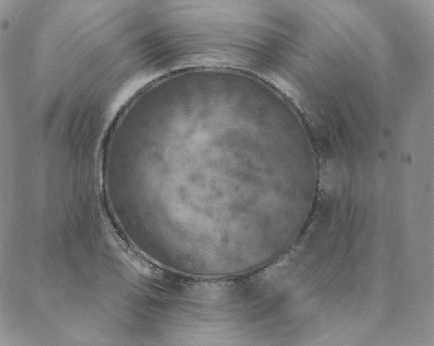 X0000089881078200706281344