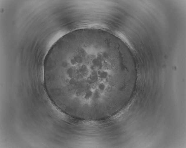 X0000089881079200706281344