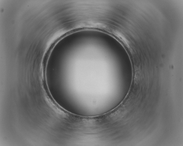 X0000089881080200706281344