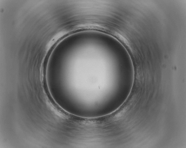 X0000089881082200706281344