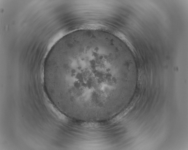 X0000089881083200706281344