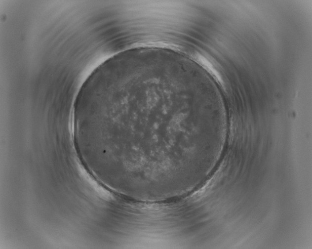 X0000089881084200706281344