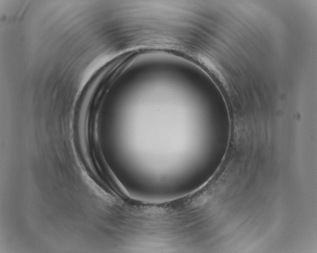 X0000089881085200706281344