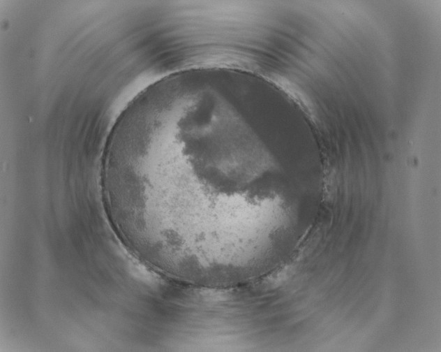 X0000089881086200706281344