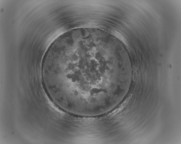 X0000089881087200706281344