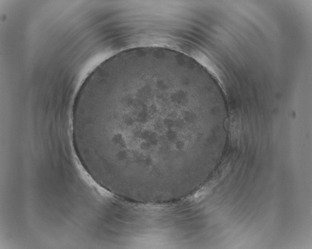 X0000089881088200706281344