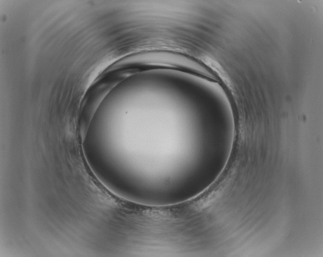 X0000089881089200706281344