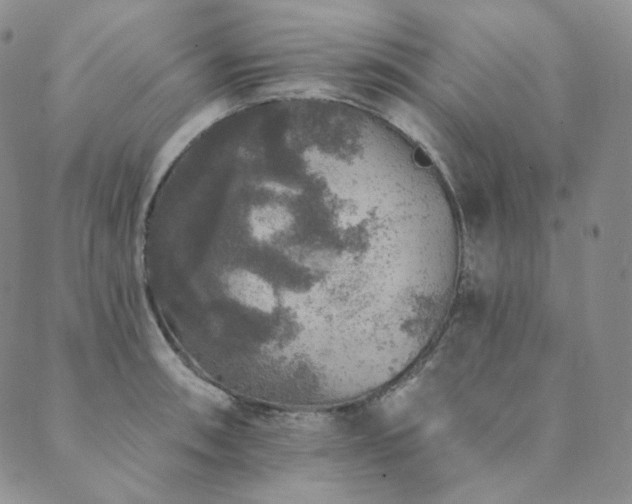 X0000089881090200706281343