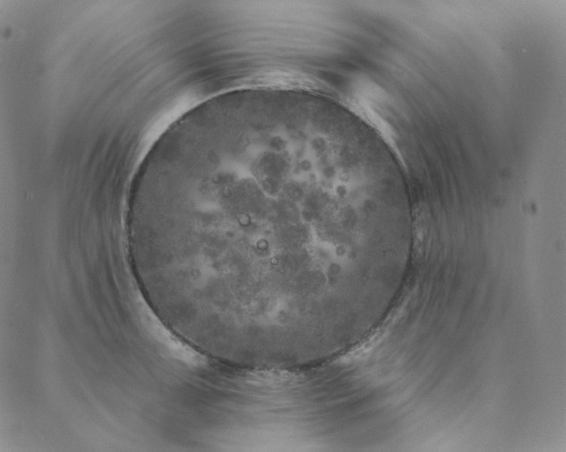 X0000089881091200706281343