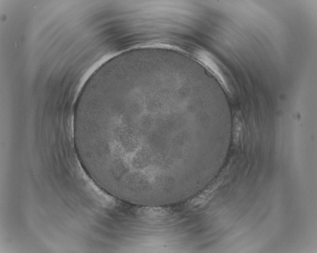 X0000089881092200706281343