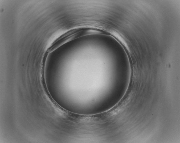 X0000089881093200706281343