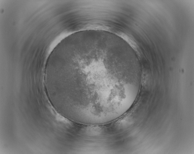 X0000089881094200706281343