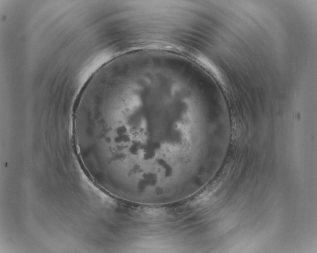 X0000089881095200706281343