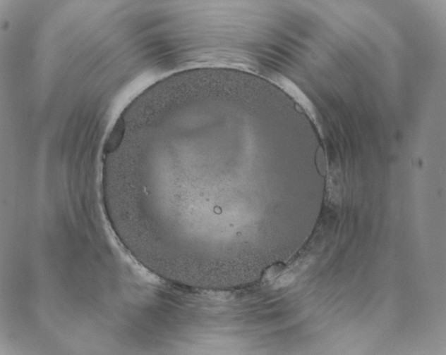 X0000089881096200706281343