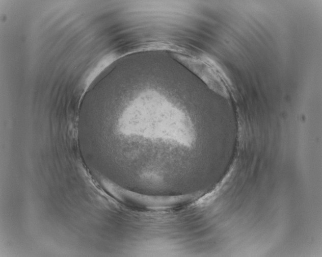 X0000089881097200706281343