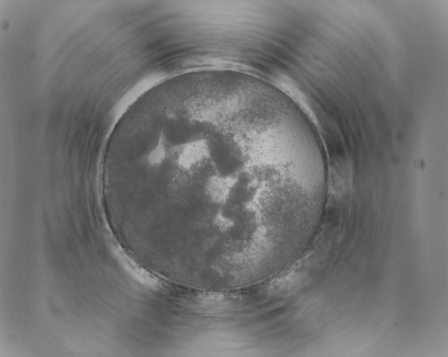 X0000089881098200706281343