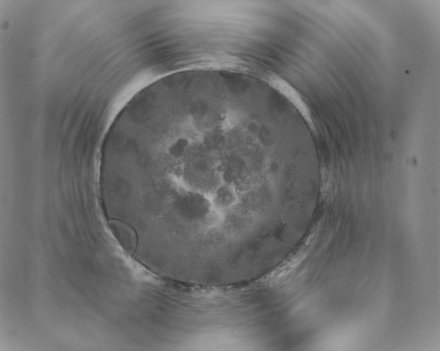 X0000089881099200706281343