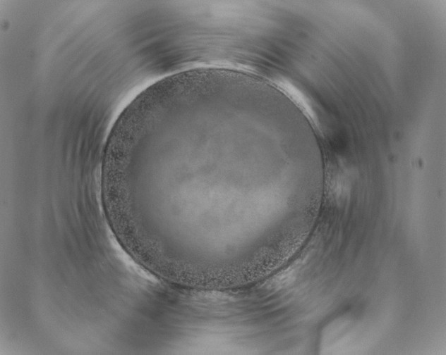 X0000089881100200706281343