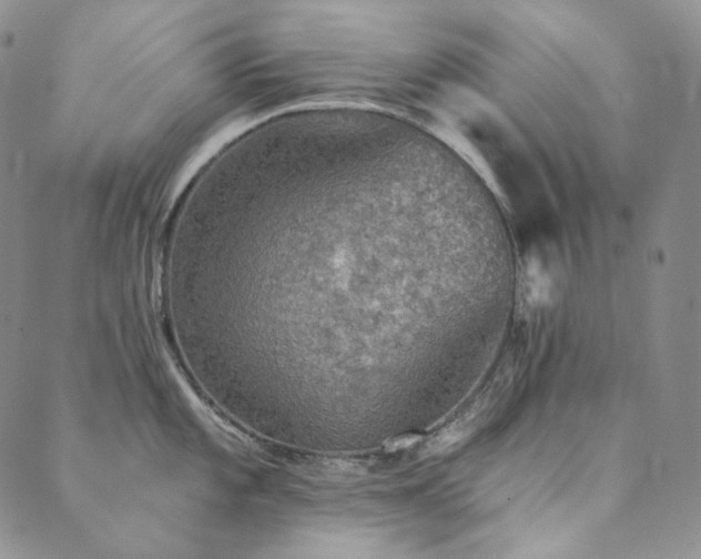 X0000089881101200706281343