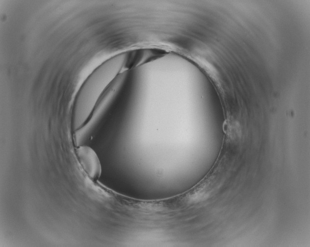 X0000089881102200706281343