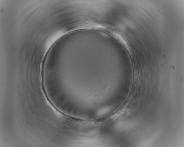 X0000089881103200706281343