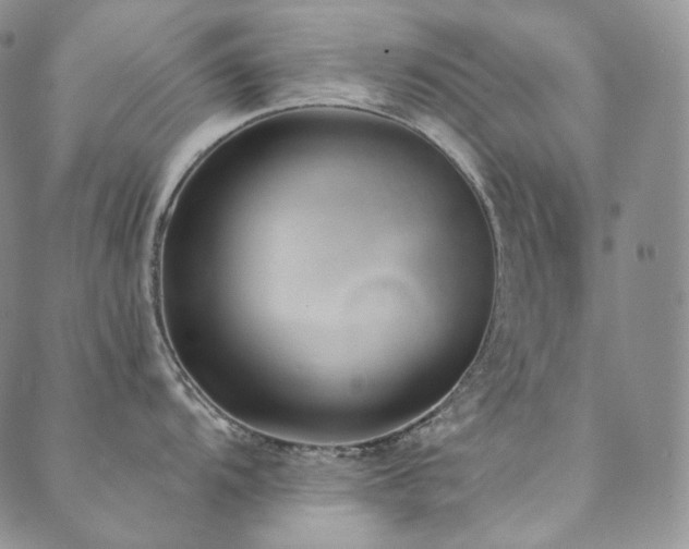 X0000089881104200706281343