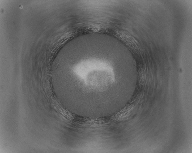 X0000089881105200706281342