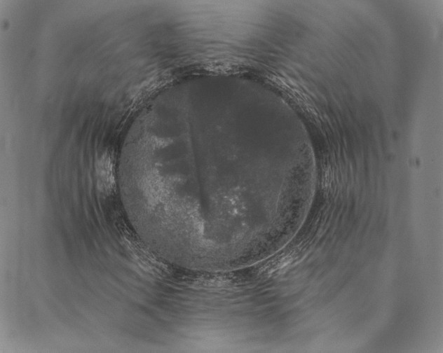 X0000089881106200706281343