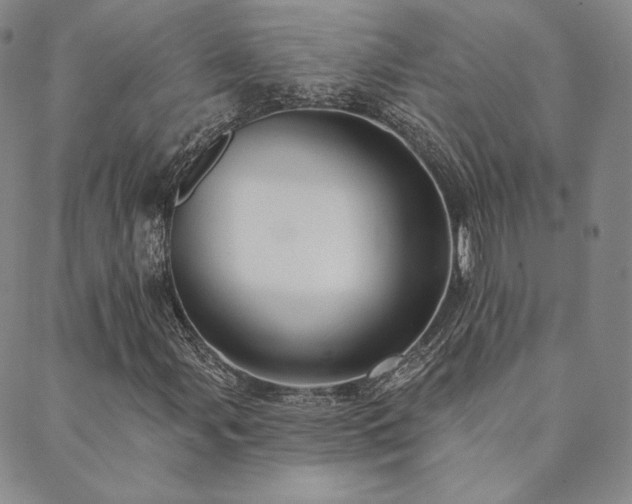 X0000089881107200706281343