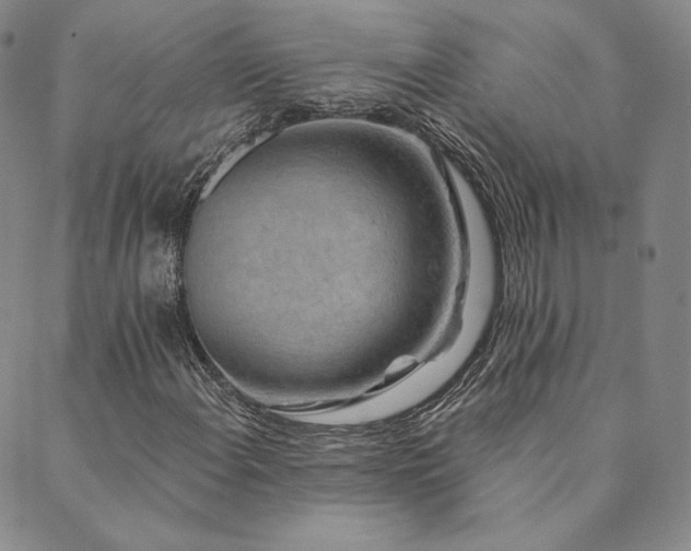 X0000089881108200706281343