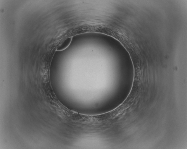 X0000089881109200706281343